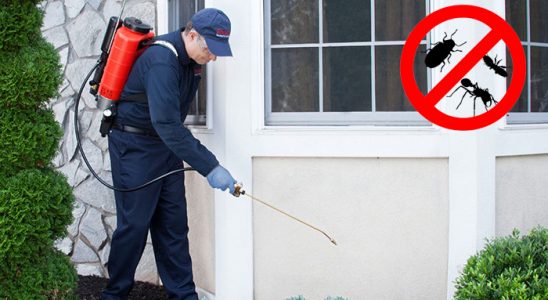 Çukurca Hamam Böceği İlaçlama böcek ilaçlama ve haşere kontrolü — ilaclama-tr.com